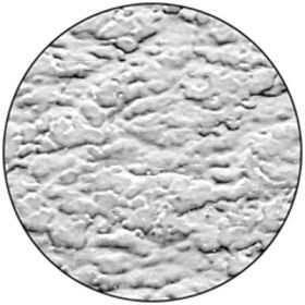 Rosco Image Glass 33620 Ice