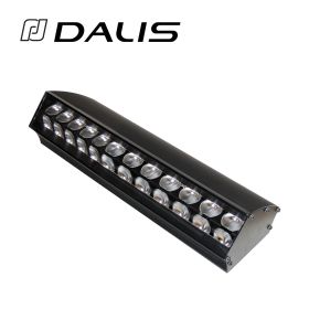Robert Juliat Dalis 864S asymmetrische LED-Bodenrampe, 75W, 4 Farben