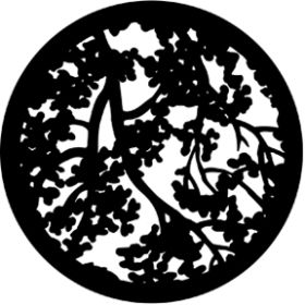 Rosco Glasgobo 77109 ( DHA # 109) Blossoms (Detail)