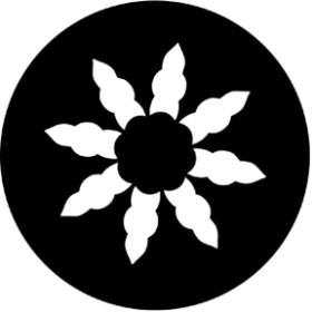 Rosco Glasgobo 77538 ( DHA # 538) Rose (a)