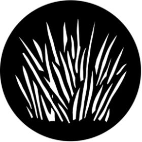 Rosco Glasgobo 77546 ( DHA # 546) Scrub