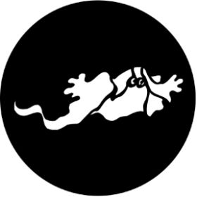 Rosco Metallgobo 77553 ( DHA # 553) Ghost 3