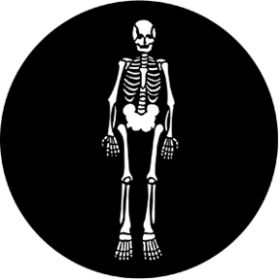 Rosco Glasgobo 77557 ( DHA # 557) Skeleton