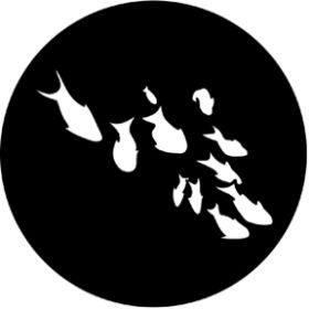 Rosco Glasgobo 77559 ( DHA # 559) Fishes