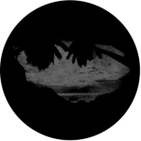 Rosco Glasgobo 77609 ( DHA # 609) Meshed Palm