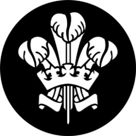 Rosco Glasgobo 77670 ( DHA # 670) Feathers