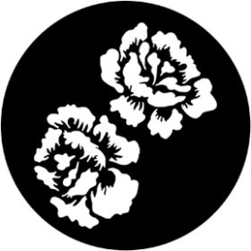 Rosco Glasgobo 77763 ( DHA # 7763) Roses