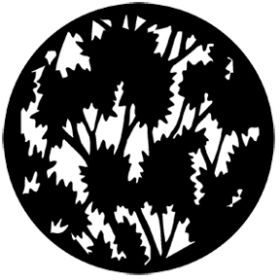 Rosco Glasgobo 77804 ( DHA # 804) Foliage (Large)