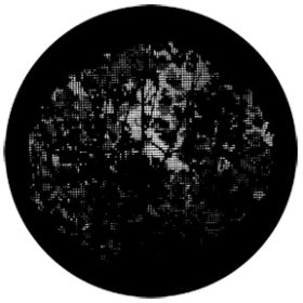 Rosco Metallgobo 77839 ( DHA # 839) Meshed Saplings