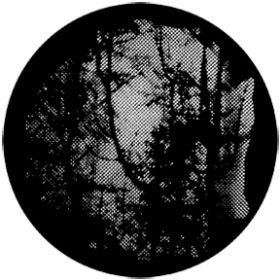 Rosco Metallgobo 77840 ( DHA # 840) Meshed Woodlands