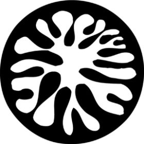 Rosco Metallgobo 78238 ( DHA # 78238) Brain Splat