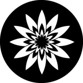 Rosco Metallgobo Petal Explosion