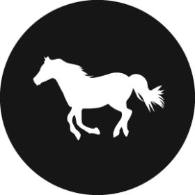 Rosco Metallgobo Running Horse