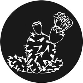 Rosco Metallgobo Prickly Pear