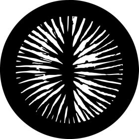 Rosco Metallgobo Fissures