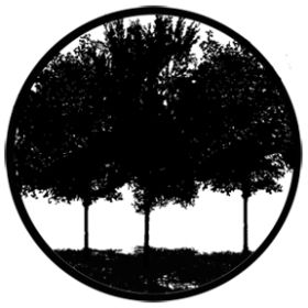 Rosco Glasgobo 78431 Tree Silhouette 1