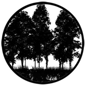 Rosco Glasgobo 78432 Tree Silhouette 2