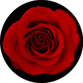 Rosco Glasgobo 84430 Red Rose