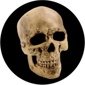 Rosco Glasgobo 86687 ( DHA # 86687) Yorick Skull