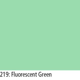 LEE Korr.-Filter-Bogen Nr. 219 LEE Fluorescent Green