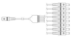 Gantom® CB22 Go Cable 8-fach DC-Kabel Splitter
