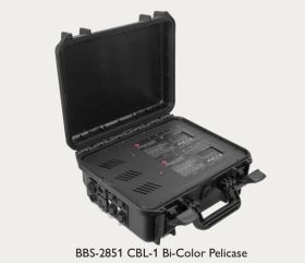 BB&S Bi-Color Controller DMX/RDM im Pelicase f. CBL/ CFL