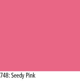 LEE Filter-Rolle Nr. 748 seedy pink