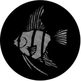 Rosco Glasgobo 77612 ( DHA # 612) Meshed Angel Fish